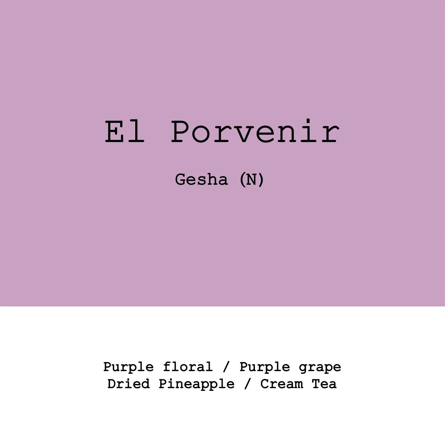 Goût & Co - Kolumbien - El Porvenir - Gesha - Natural