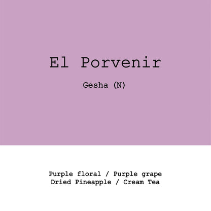 Goût & Co - Kolumbien - El Porvenir - Gesha - Natural