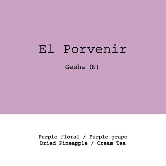 Goût & Co - Kolumbien - El Porvenir - Gesha - Natural