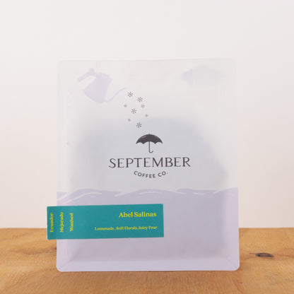 September - Ecuador - Abel Salinas - Mejorado - Washed