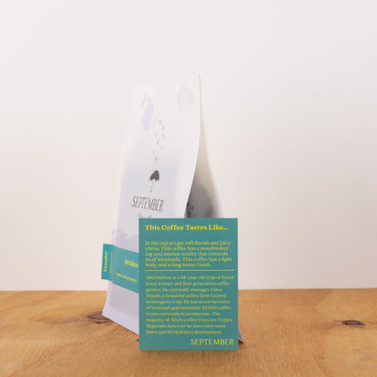 September - Ecuador - Abel Salinas - Mejorado - Washed