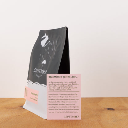 September - Guatemala - Irineo Ramirez - Pache - Washed - Espresso