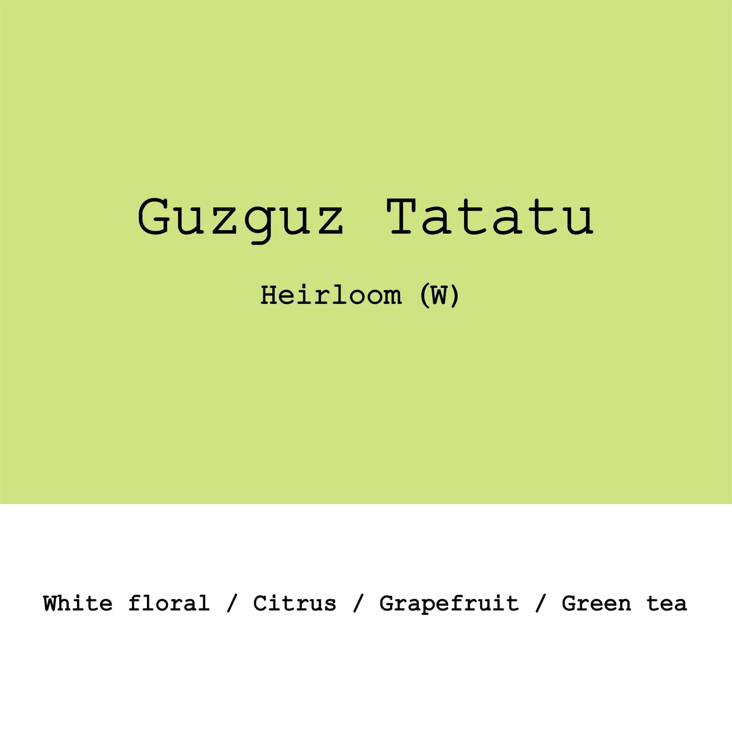 Goût & Co - Äthiopien - Guzguz Tatatu - Heirloom - Washed