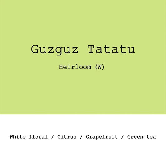 Goût & Co - Äthiopien - Guzguz Tatatu - Heirloom - Washed